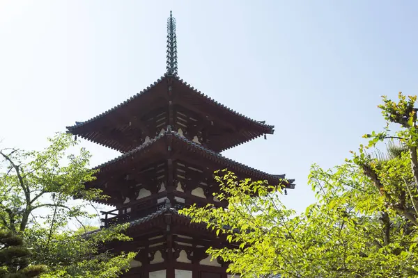 Una Imagen Del Templo Horyu — Foto de Stock