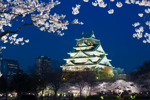 Kiraz çiçekli güzel Osaka kalesi, Osaka, Japonya