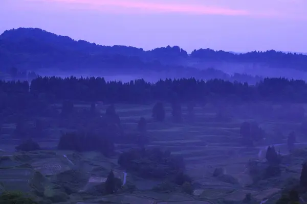 Landscape Mountain Rice Fields Morning Fog — Stock Photo, Image