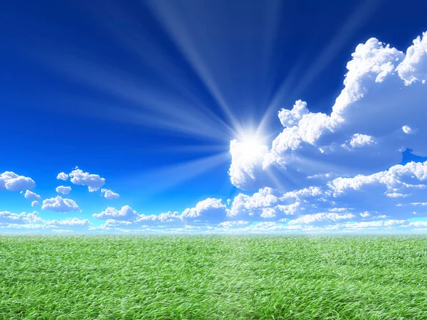 白い雲 緑の牧草地および草が付いている青い空の背景 ストック写真