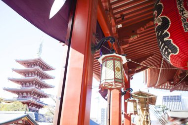 Eski bir Japon türbesinin nefes kesici sahnesi