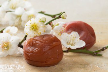 tasty Japanese  food  Umeboshi,  plums and sakura flowers clipart