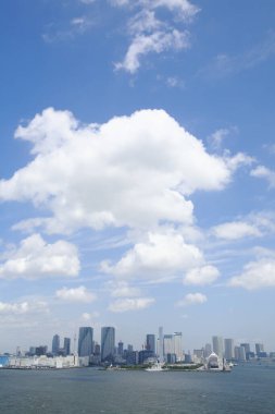 Tokyo şehir manzarası gökdelenler ve gökdelenler güneşli bir günde                      