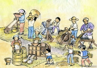 İnsanlar geleneksel tarım araçlarını kullanarak pirinç harman ediyorlar.