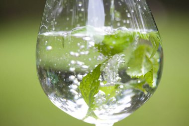 Yeşil nane yapraklı su bardağı