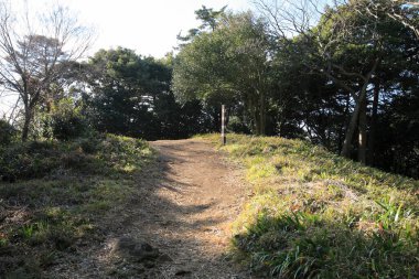 Yeşil dağlardaki patika