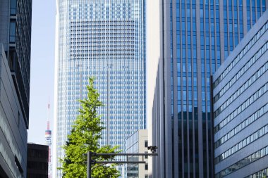 Şehir caddesinde ağaçları olan modern binalar. 