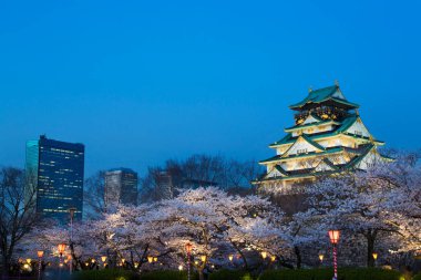 Kiraz çiçekli güzel Osaka kalesi, Osaka, Japonya