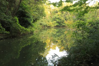 güzel bahar lake Park