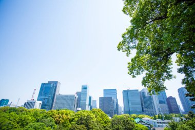 Şehirdeki modern bina ve yeşil ağaçlar 