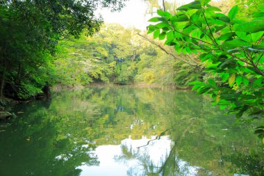 güzel bahar lake Park