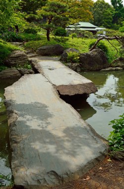 Güzel Japon bahçesi doğa manzarası 