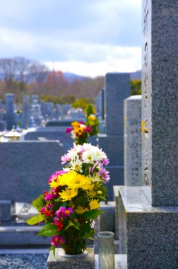 Japon mezarlığına, mezar taşlarına ve çiçeklere yakından bakın.