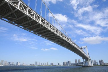 Düşük açılı Tokyo gökkuşağı köprüsü ve şehrin ufuk çizgisi                   