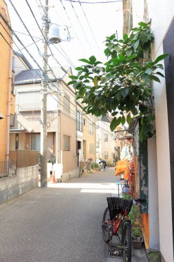 Japonya manzaralı cadde