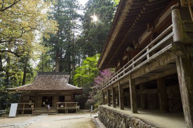 Asya 'daki eski tapınağın manzarası