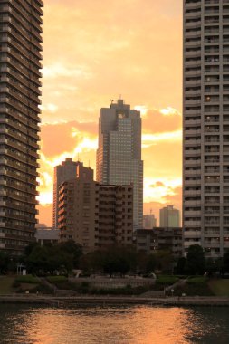 Gün batımında, Japonya Tokyo şehir manzarası