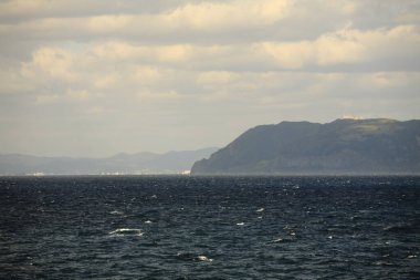 Deniz kıyısının güzel doğal manzarası     