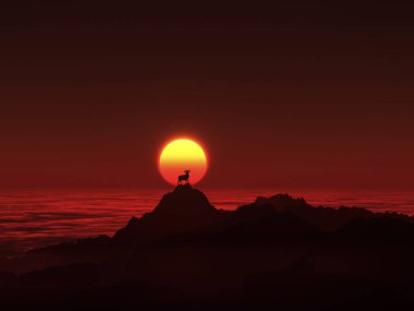 Vahşi doğada erkek koyun, dağlarda ve günbatımında gökyüzünde 