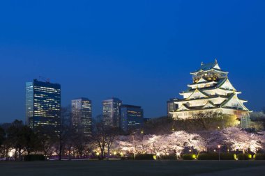 Kiraz çiçekli güzel Osaka kalesi, Osaka, Japonya