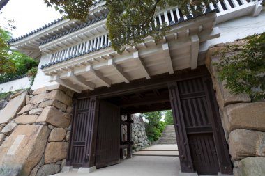 Eski bir Japon tapınağının görkemli manzarası.