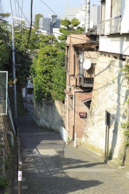 Japonya manzaralı cadde