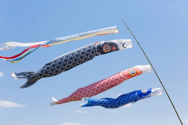 Japon koinobori ya da sazan balıklarının açık hava görüntüsü.                