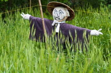 Korkuluk yeşil bir çayırda duruyor 