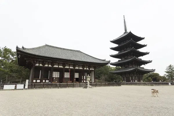 Torre Madeira Templo Kofukuji Nara Japão — Fotografia de Stock