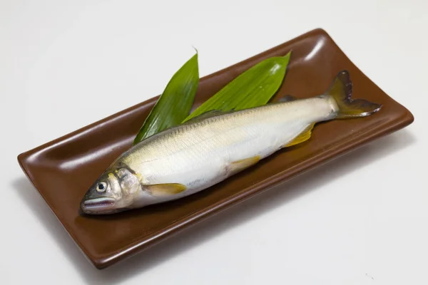 Japanese sweet fish on background, close up