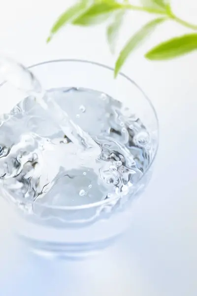 Glas Met Water Verse Plant Met Groene Bladeren Witte Achtergrond — Stockfoto