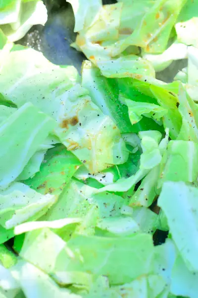 Frischer Grüner Salat Mit Gewürzen Gesunde Ernährung — Stockfoto