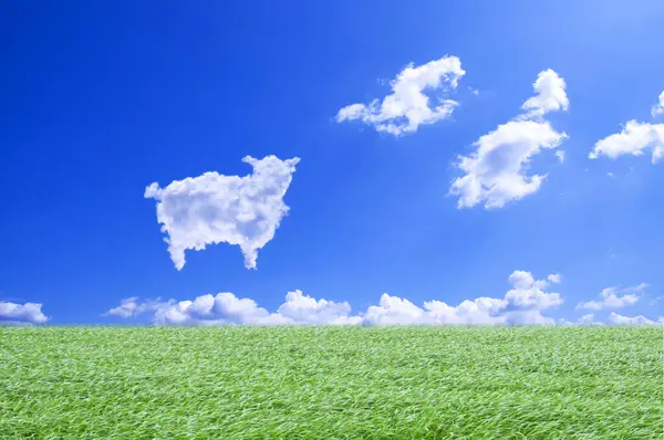 Campo Verde Nube Blanca Esponjosa Forma Oveja Sobre Fondo Cielo —  Fotos de Stock