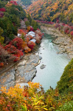 Sonbahar dağlarında nehir. Japonya.
