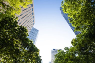 Modern binalar ve mavi gökyüzü - Tokyo, Japonya 'da
