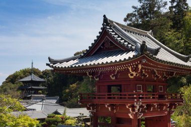 Güzel Japon tapınağı, Budizm konsepti