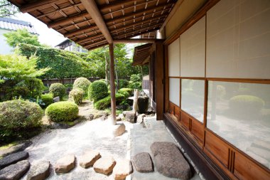 Yeşil bitkiler ve taşlarla Japon geleneksel bahçesinin güzel manzarası                 