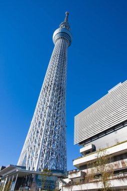 Tokyo Skytree, yukarı bakan kule. Tokyo gökyüzü ağacı için alt manzara.