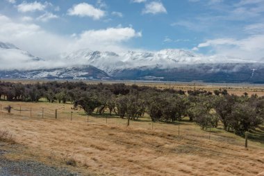 Yeni Zelanda 'da karlı bir vadinin ortasında bir sıradağ.