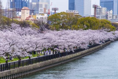 Bahar mevsiminde çiçek açan ağaçlarla setin üzerinde yürüyen insanların güzel manzarası.         