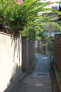 Güneşli bir günde eski şehir manzarası