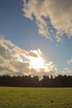 Akşamları ağaçlarla ve yeşil çimlerle kaplı güzel bir manzara.          