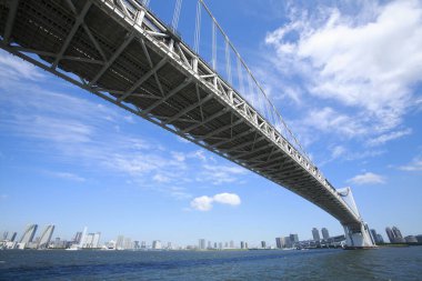 Düşük açılı Tokyo gökkuşağı köprüsü ve şehrin ufuk çizgisi                   