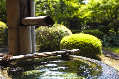 Tsukubai taş havza yakın çekim görüntüsü