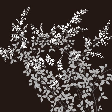 çiçekli siyah beyaz arkaplan