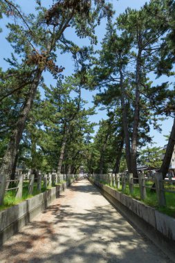 Asya 'nın zengin mirasını sembolize eden muhteşem bir antik tapınak huzur ve motivasyon arayanlar için sakin bir kaçış yeri görevi görüyor..