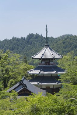 Eski bir Japon tapınağının çevresinde etkileyici bir manzara.