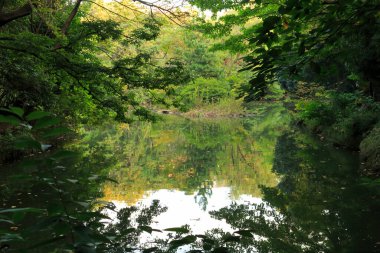 güzel bahar lake Park