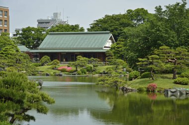 Tokyo 'daki güzel Japon bahçesi doğa manzarası 