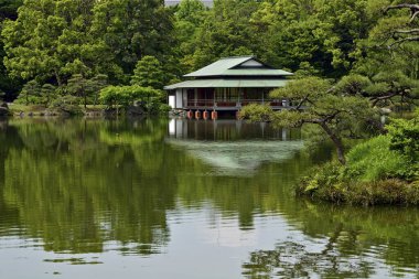Tokyo 'daki güzel Japon bahçesi doğa manzarası 